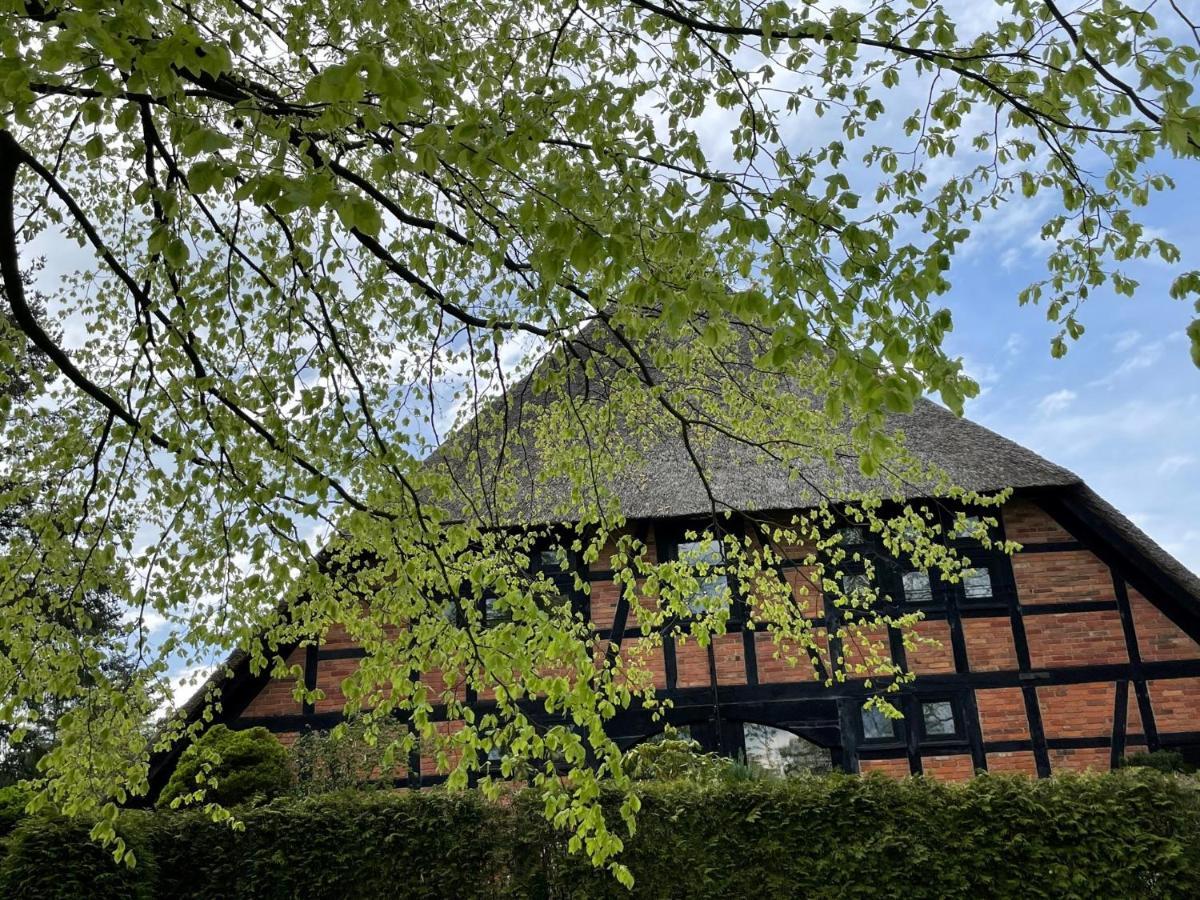 Ferienwohnung St. Dionyser Heidedorf Sankt Dionys Esterno foto